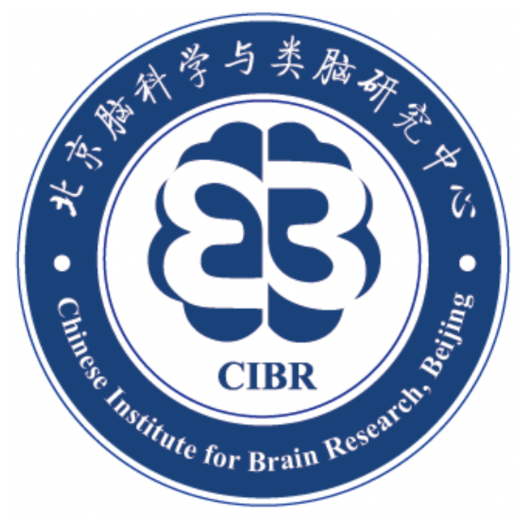 CIBR Logo